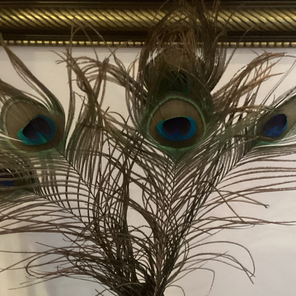 Vase with Peacock Feather Arrangement - Picture 3 of 3
